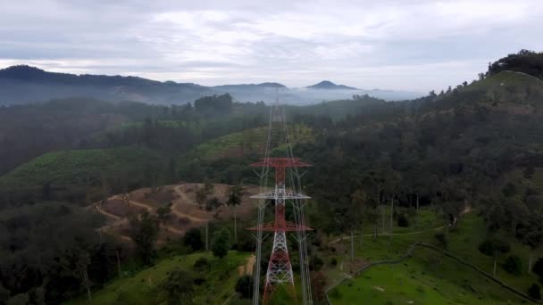 Tepedeki Plantasyonda Hava Manzaralı Elektrik Iletim Kulesi — Stok video