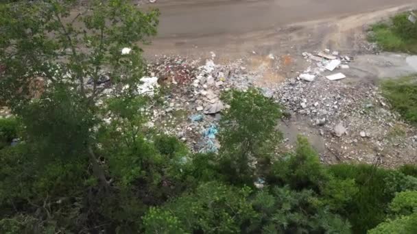 Rubbish Dump Green Lush Tree — Vídeo de stock