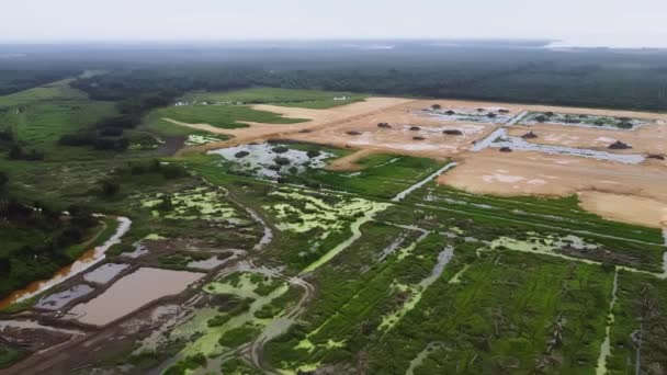 Vista Aérea Limpeza Palmeira Óleo Projeto Cavar Solo — Vídeo de Stock