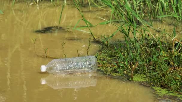 茶色の川のプラスチック廃棄物透明なボトルの流れ — ストック動画