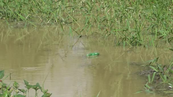 Green Plastic Bottle Flow River Hot Sunny Day — Stock Video