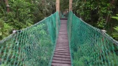 Yeşil gölgelik tahta köprüde POV yürüyüşü