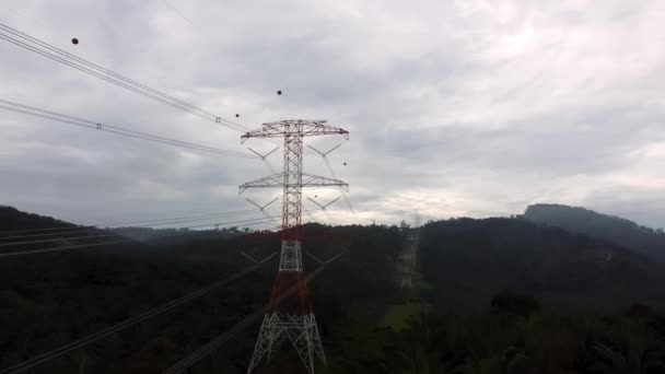 Survolez Poteau Électrique Dans Une Plantation Palmiers Huile — Video