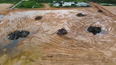 Sarı toprak, araziye yağdıktan sonra yağ palmiyesi tarlasını temizliyor.