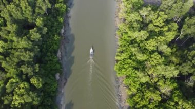 Drone manzaralı balıkçı teknesi nehirde mangrov ağaçlarıyla yaşıyor..