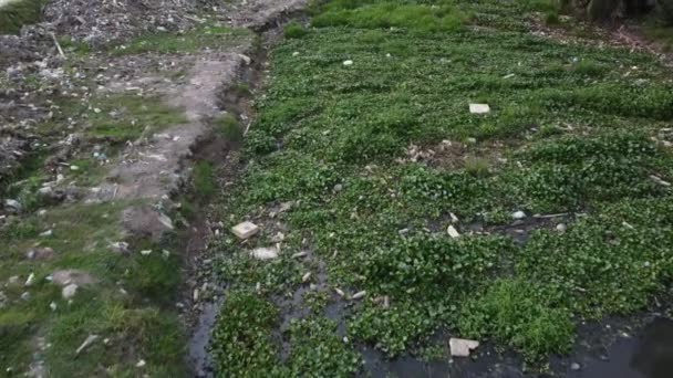 강둑을 가로지르는 쓰레기 — 비디오