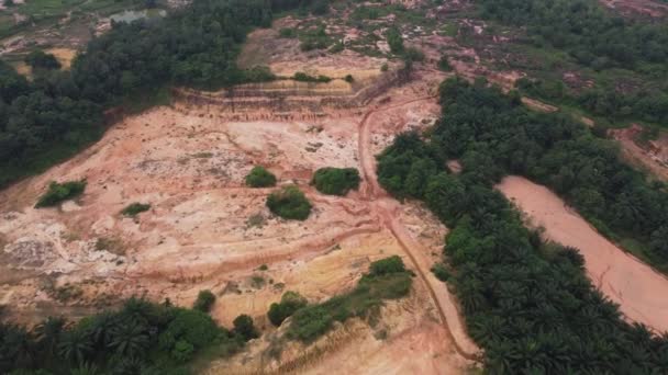 Land Clearing Van Boom Oorzaak Roodachtige Bodem Modder Heuvel — Stockvideo