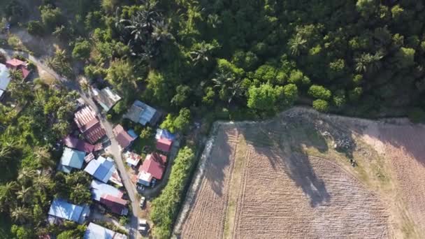 Paysage Aérien Terres Cultivées Côté Kampung Malais — Video