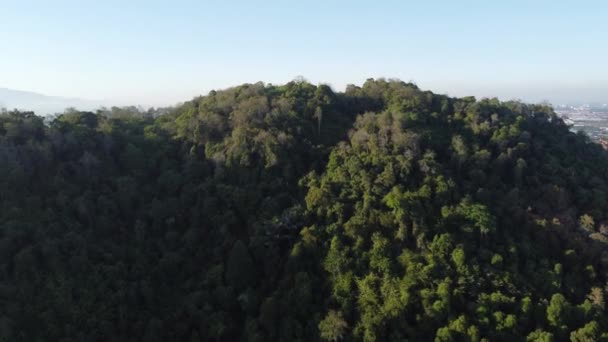 Luchtfoto Bos Zonlicht Schaduw Zee — Stockvideo