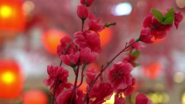 Año Nuevo Chino Flor Artificial Decoración Flores — Vídeo de stock