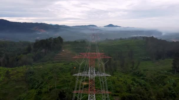 Flyg Över Röd Och Vit Elektrisk Pylon Grön Lantgård Malaysia — Stockvideo