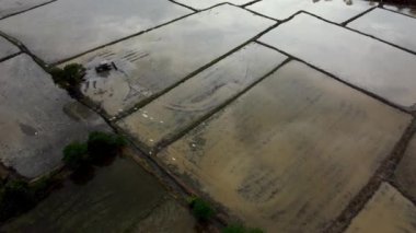 Akbalıkçıllar gökyüzü bulutundan çiftlikte uçar..