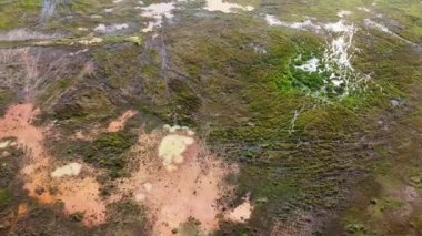 İnsansız hava aracı yağmurlu bezelye tarlalarının üzerinde uçuyor.