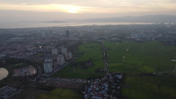 Drone Vista Panning Campo Risaia Verde Della Città Bandar Perda — Video Stock