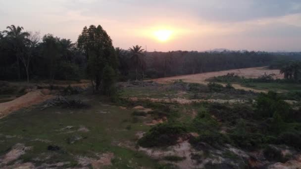 Вид Закат Над Очисткой Земель Малайзии — стоковое видео