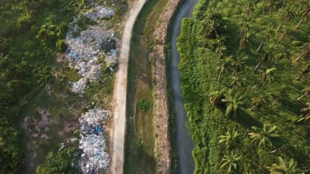 Umweltverschmutzung Durch Industrieabfälle Der Nähe Von Palmenplantagen — Stockvideo