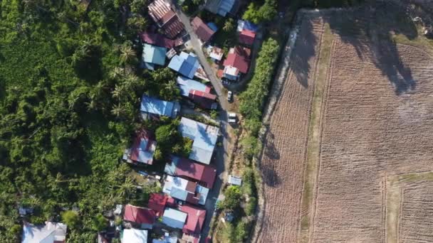Vue Aérienne Terres Culture Près Malaisie Village Kampung Maison — Video