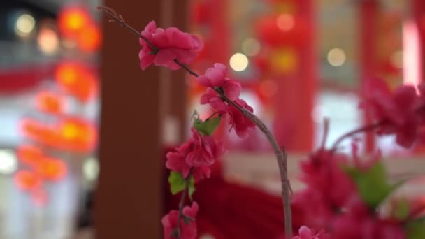 Konstgjorda Plommon Blommor Rött Lykta Bakgrund Dekorerade Kinesiska Nytt — Stockvideo