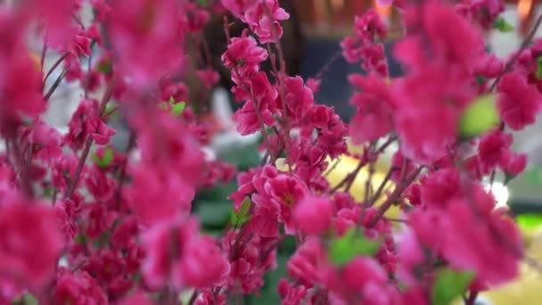 Deslizando Sobre Flor Ameixa Artificial Decoração Ano Novo Chinês — Vídeo de Stock