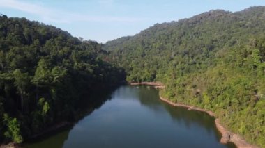 Malezya, Penang yağmur ormanlarındaki hava gölü.