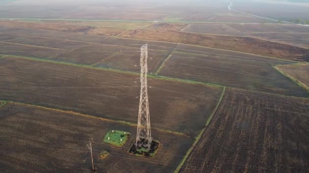 Pylon Elektryczny Suchym Polu Uprawnym Pól Ryżowych — Wideo stockowe