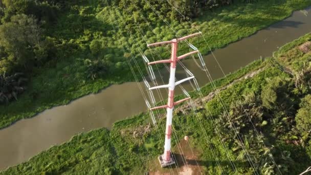 Aerial Patrzeć Dół Czerwony Biały Powerline Wieża Elektryczna Zielonej Plantacji — Wideo stockowe