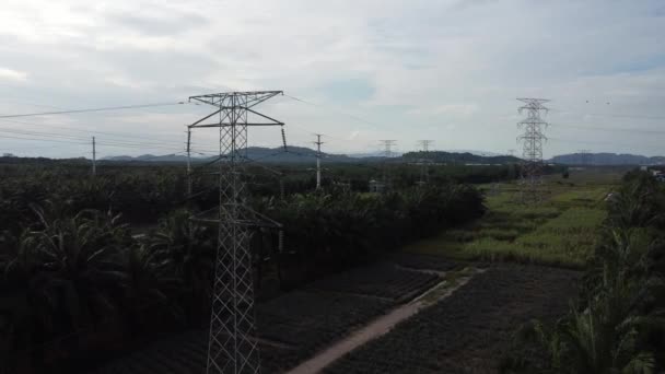 Widok Lotu Ptaka Wieża Elektryczna Palmy Olejowej Plantacji Ananasów Dzień — Wideo stockowe