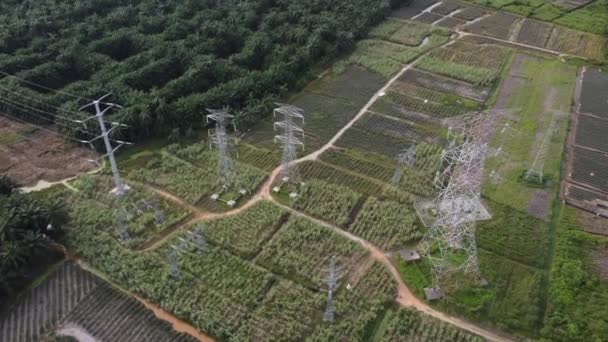プランテーション分野の電気パイロンの多く パノラマの空中風景 — ストック動画