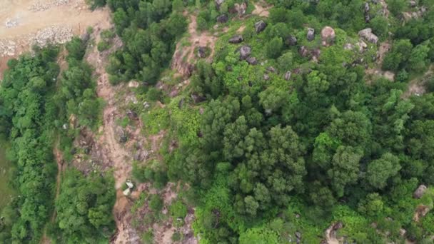 Avskogning Grönt Träd Luften Gul Jord Grävd Skogen — Stockvideo