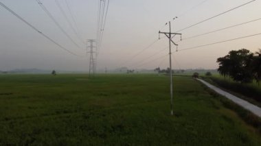 Çeltik tarlasında havadan yükselen elektrik kablosu kulesi