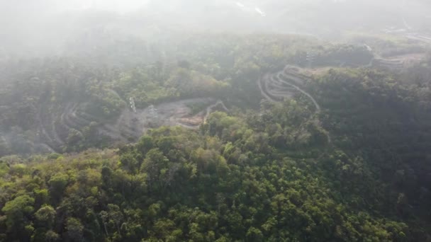 Panorama Déforestation Des Forêts Brumeuses Malaisie — Video