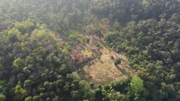 在马来西亚的山上重新种植种植园 空中升空视图 — 图库视频影像