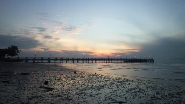 杰里亚克 杰蒂与海洋生物一起在海滩上移动 — 图库视频影像