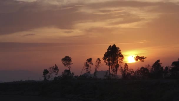 Zaman Ayarlı Güneş Bir Sıra Ağaçta Batıyor — Stok video