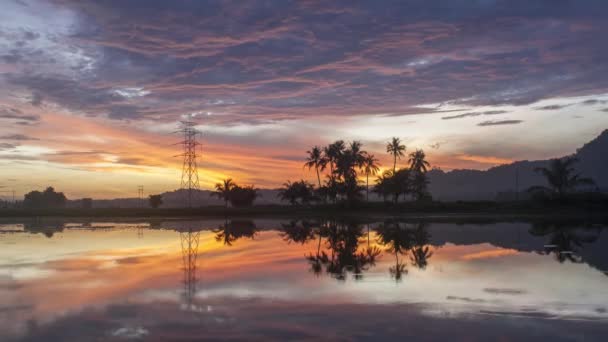 電気塔とヤシの木の上にタイムラプスレッドフレイム雲の夕日 — ストック動画