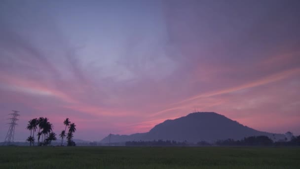 Timelapse Nube Naranja Forma Cielo Durante Salida Del Sol Arrozal — Vídeos de Stock