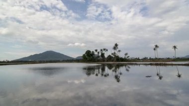 Bukit Mertajam 'ın Hindistan cevizi ağaçlı bulutlu günü.