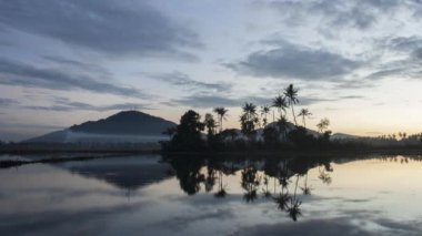 Bukit Mertam Tepesi yakınlarındaki kampung 'da gün doğumu hindistan cevizi ağaçları.