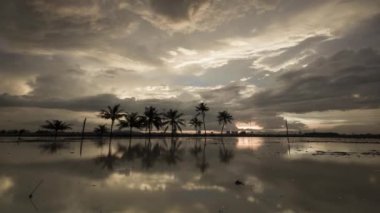 Gün batımında hindistan cevizi ağaçları ve güzel turuncu bulut.