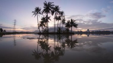 Hindistan cevizi adasının gün doğumu Bukit Mertajam 'daki suya yansıyor.