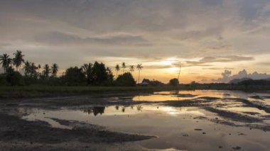 Malezya, Penang 'daki Malezya çiftliği üzerinde gün batımını hesapla.