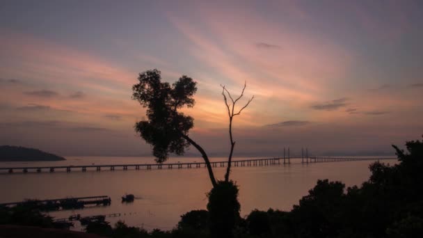 Міст Пенанг 2 з деревом.. — стокове відео