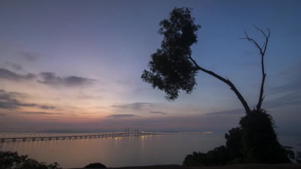 Tree with Penang Bridge. — Stock Video