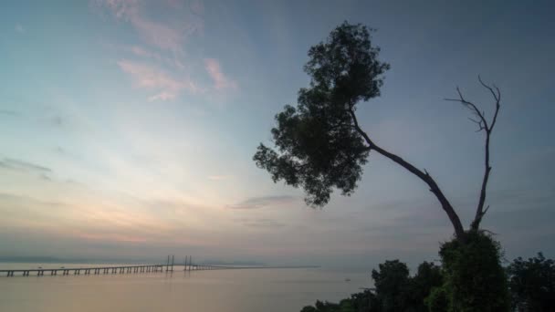 Ağaçlı Penang Köprüsü. — Stok video