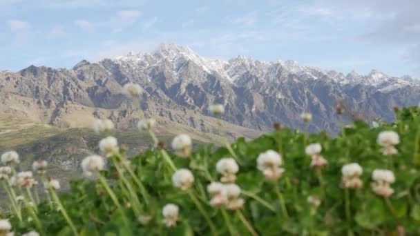 Neve Monte Notável Otago Ilha Sul Com Bokeh Primeiro Plano — Vídeo de Stock