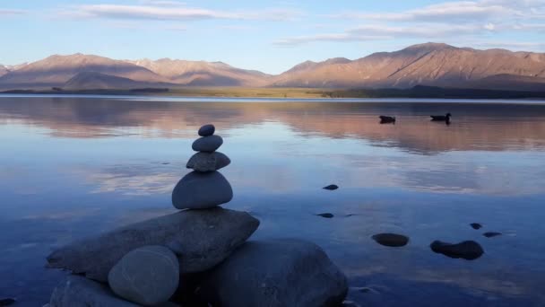 Zen Sten Och Gräsänder Simmar Vid Sjön Tekapo Sydön Nya — Stockvideo