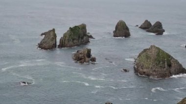 Nugget Point, Yeni Zelanda.