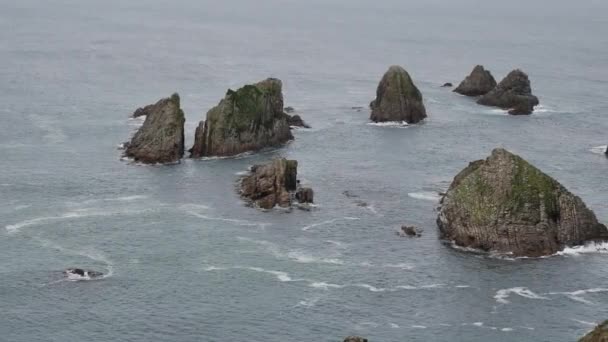 Nugget Point Nova Zelândia Noite — Vídeo de Stock