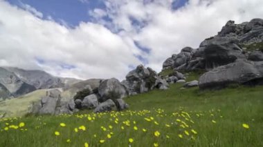Timelapse Castle Hill Koruma Alanı ya da Kura Tawhiti, Arthur 'un ön plandaki sarı çiçekli geçidi..