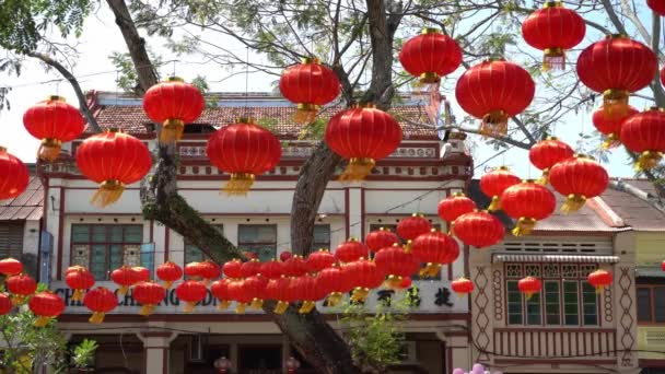 Lanterna tradicional chinesa para celebrar o ano novo lunar — Vídeo de Stock